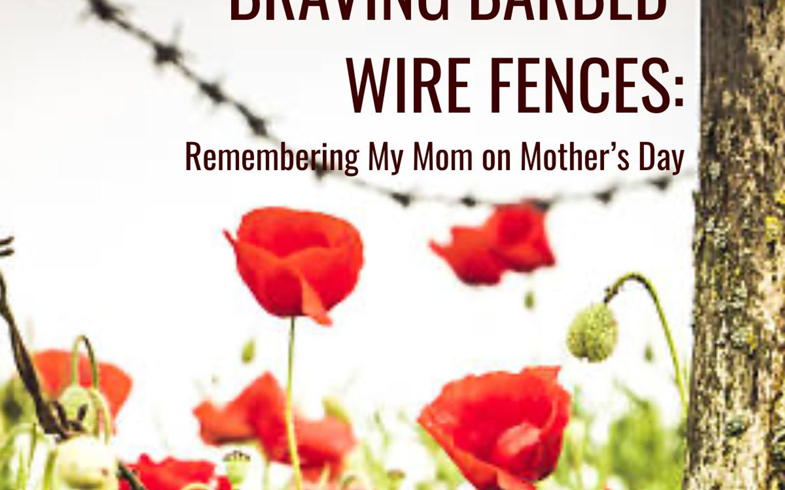 Braving Barbed Wire Fences: Remembering My Mom on Mother's Day